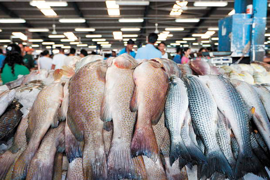 На развитие рыбоводства в Нижегородской области власти потратят 60 миллионов рублей