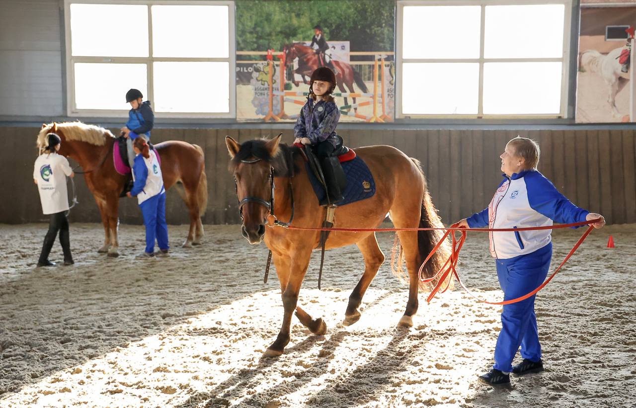 В городской зооцентр «Надежда» приобрели ещё шесть лошадей