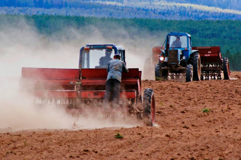 Нижегородские аграрии получат льготных займов более чем на 300 миллионов рублей