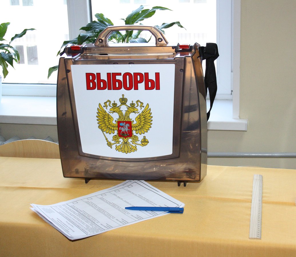 Объявлены результаты довыборов в гордуму Нижнего Новгорода