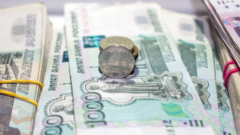Самозанятым нижегородцам выплатят по 14 тысяч рублей за социально значимые работы