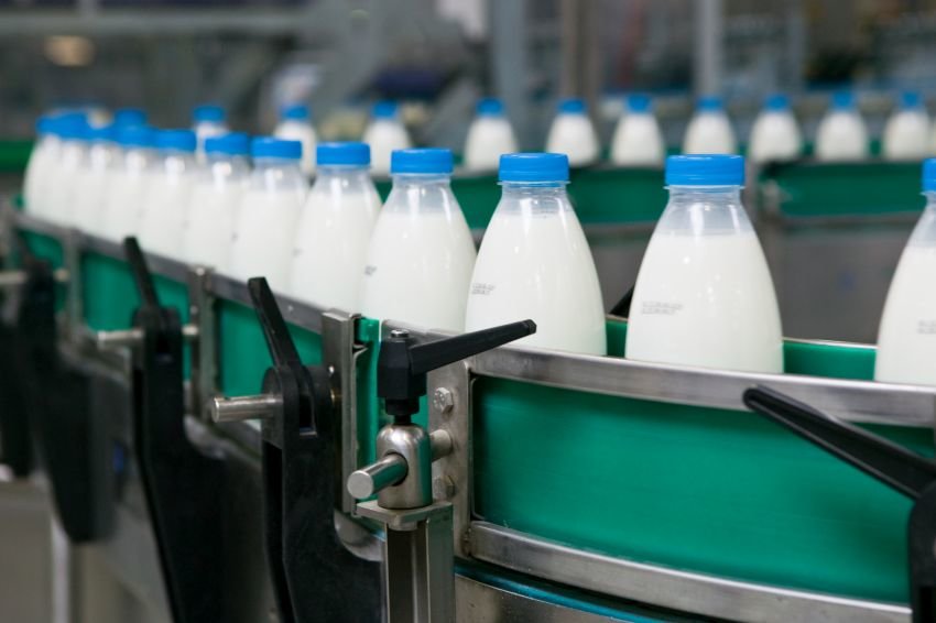 Нижегородские производители молока получат больше 850 миллионов рублей субсидий
