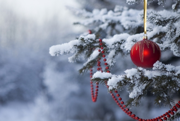 Праздничная программа «Зимовка на Рождественской» открывается с 24 декабря в Нижнем Новгороде